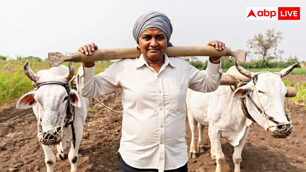 विशेषज्ञों की राय और व्यापक प्रभाव